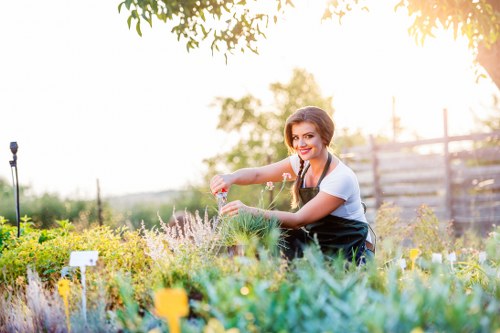 A woman with dark hair and a cheerful expression, dressed in a white top and navy apron, is tending to a flowering garden bed in an outdoor space that appears to be part of a residential back garden in Kilburn. The garden features a variety of plants, including flowering shrubs, herbaceous perennials, and low-growing foliage in shades of green, purple, and yellow. She is holding a small gardening trowel or tool, reaching into the bed to adjust or plant flowers. The garden surface includes a well-maintained lawn with dense, green grass in the foreground, bordered by raised flower beds separated by wooden edging. In the background, there are trees with light green leaves, a wooden fence, and a softly glowing sky indicating late afternoon or early evening sunlight. The outdoor environment looks tranquil and lush, with bright natural lighting illuminating the scene, supporting professional gardening and landscaping services by Landscapers Kilburn at the postcode area of NW6, which is naturally integrated within the visual context of a typical landscaped residential garden, ideal for landscaping or garden renovation ideas.