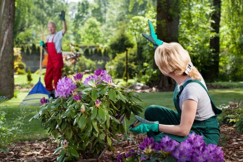 A woman wearing gardening gloves is kneeling on the soil in a garden, tending to a large flowering shrub with vibrant purple blossoms. The garden features a neatly maintained lawn with lush green grass and a backdrop of tall trees and dense foliage, creating a shaded environment. In the background, a child wearing red overalls and blue gloves is standing near the water, holding a garden tool and appearing to be engaged in outdoor activity. The scene is set on a bright, sunny day, with natural light illuminating the garden's rich textures and colours, illustrating a well-kept outdoor space suitable for landscaping or garden maintenance services offered by Landscapers Kilburn in the Kilburn area.