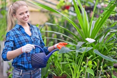 Landscaping website cookie policy introduction for Landscapers Kilburn