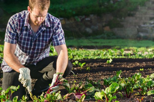Landscapers handling garden waste clearance in Kilburn