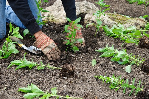 Landscaping team reviewing a customer complaint on a garden project