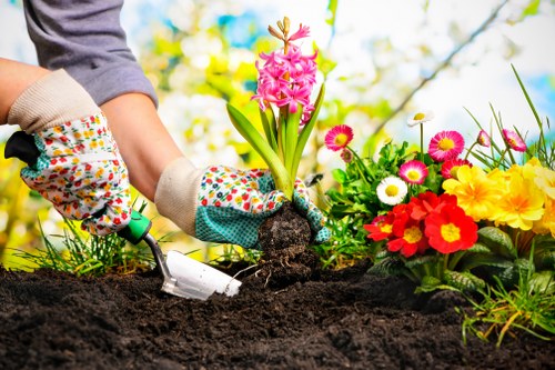 A gardener's hands, wearing multicoloured floral gardening gloves, are shown planting a pink hyacinth flower into rich, dark soil in a well-maintained garden. To the right, there is a vibrant flower bed filled with various blooming flowers, including yellow, white, red, and pink blossoms, creating a colourful and lively garden scene. The background features blurred greenery and trees, suggesting a lush outdoor environment with natural daylight and a partly cloudy sky. The scene illustrates outdoor garden maintenance and planting activities typical of professional gardening services in Kilburn or surrounding areas, focusing on flower planting and garden beautification. The soil appears freshly turned, indicating recent planting work, and the overall setting is clean, organized, and inviting, representing the care and expertise provided by landscapers like Landscapers Kilburn.
