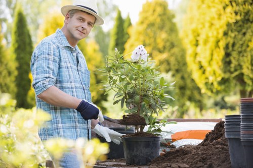 A man wearing a straw hat, light blue checked shirt, and gardening gloves is working outdoors in a garden with lush green trees and a bright, sunny sky in the background. He is planting a flowering shrub in a black plastic pot, which is placed on a wooden outdoor table, surrounded by gardening tools, soil, and empty plant pots. The garden features a well-maintained lawn with vibrant green grass, neatly edged flower beds, and a paved pathway. In the background, there are tall trees with dense foliage, providing a natural, tranquil environment. The lighting indicates a clear day, with sunlight casting soft shadows on the garden landscape, emphasizing the natural tones of the plants and soil. This scene reflects professional gardening practices, aligning with services provided by Landscapers Kilburn, including garden planting and outdoor maintenance for residential spaces in London, especially in areas like Kilburn or nearby postcode districts.