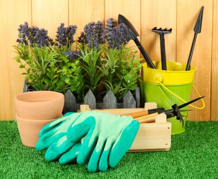A well-organized garden storage area with a range of gardening tools and supplies. In the foreground, there are bright teal gardening gloves resting on a wooden container, next to two empty terracotta pots. Behind them, a row of lavender plants with purple flower spikes and lush green foliage is arranged in a grey, honeycomb-style container. To the right, a lime-green plastic bucket holds various garden tools, including trowels, a hand fork, and a pruning shear, all with black handles. The background features a wooden fence or shed with vertical panels, providing a warm natural backdrop. The ground surface appears to be artificial grass, creating a tidy and vibrant outdoor environment suitable for garden maintenance and landscaping activities. This scene emphasizes practical storage and maintenance preparation, aligning with garden renovation services offered by Landscapers Kilburn in the Kilburn area, highlighting their expertise in outdoor space upkeep and improvements.